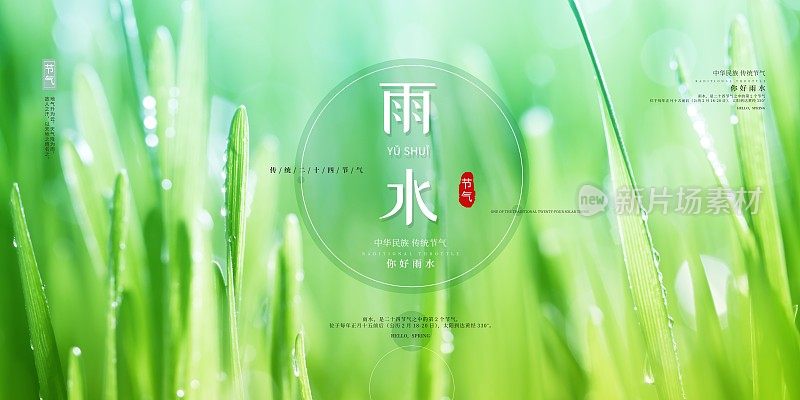 时尚雨水二十四节气展板