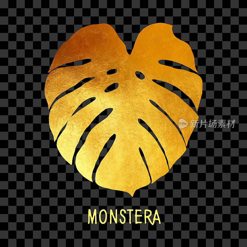 手绘金箔Monstera叶孤立。热带花卉夏季背景。党传单模板。设计元素的销售横幅，海报，标签和邀请卡。