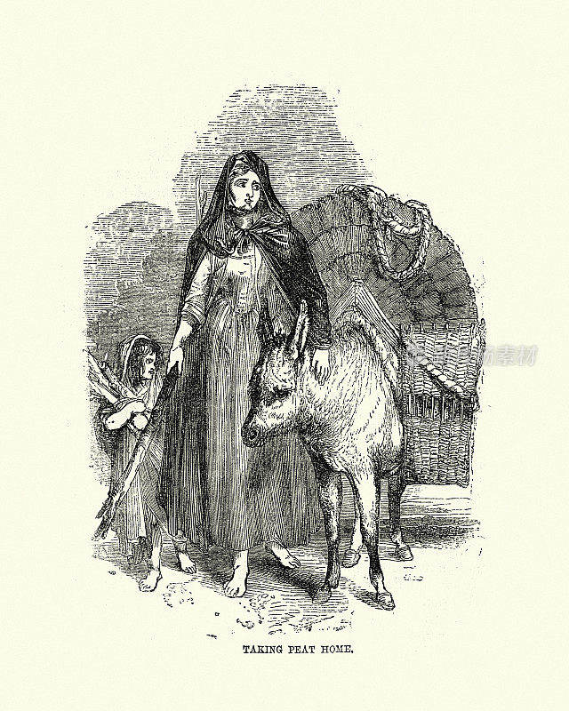 19世纪，维多利亚时代，年轻的爱尔兰妇女把泥炭带回家