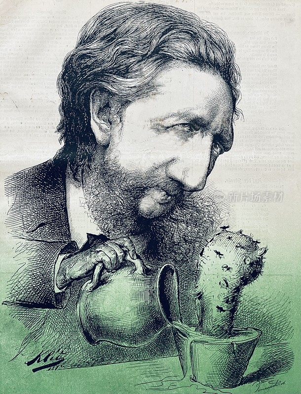 一个鬼祟的人倒了一棵仙人掌