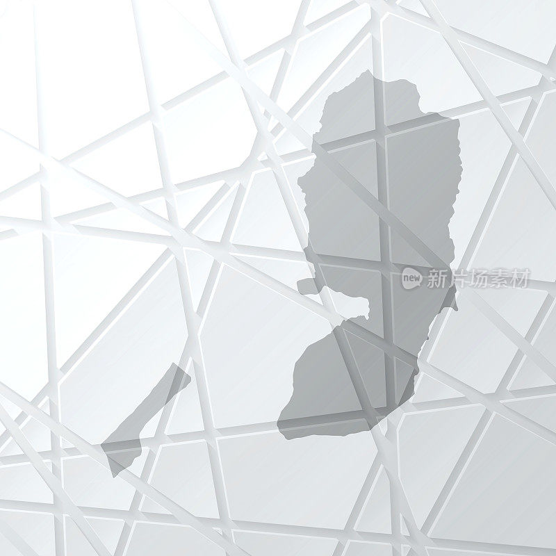 巴勒斯坦领土地图与网状网络在白色背景