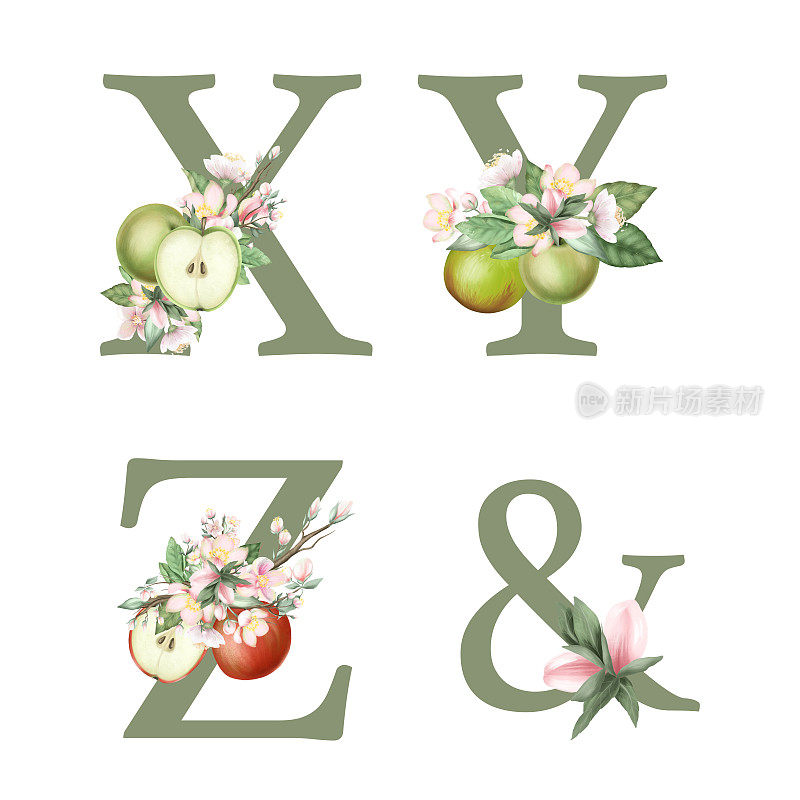 集花卉字母X-Z，和苹果树花，叶子和苹果，白色背景上的孤立插图，为婚礼交织，贺卡，标志