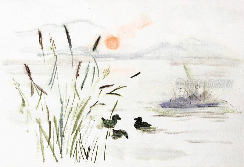 湖面上有鸭子的晨雾