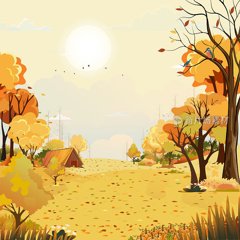 秋天的乡村景观在傍晚的光与日落与黄色的天空背景，矢量卡通秋天的乡村与森林树南瓜在草地上与日出，秋天的收获节日