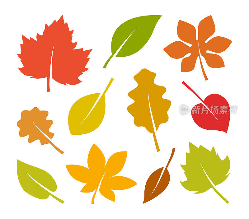 秋叶图标集。五颜六色的秋叶。简单的卡通扁平风格。矢量插图。