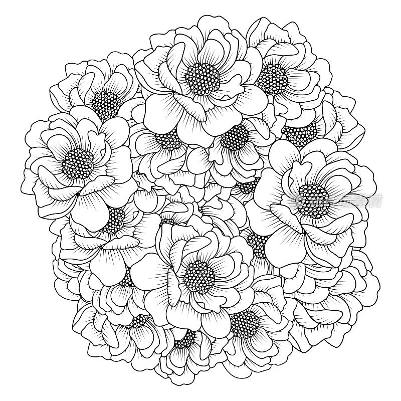牡丹花易素描铅笔画黑白线条艺术设计轮廓