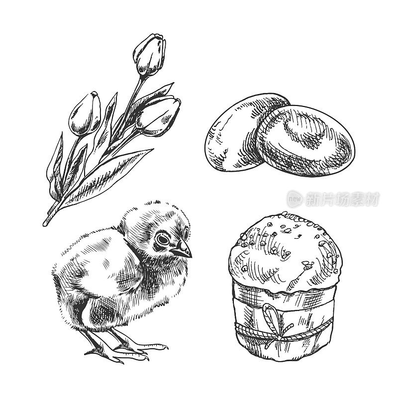一个手绘素描复活节假期集。鸡肉，郁金香，复活节蛋糕，鹌鹑蛋。矢量插图。黑白复古画。