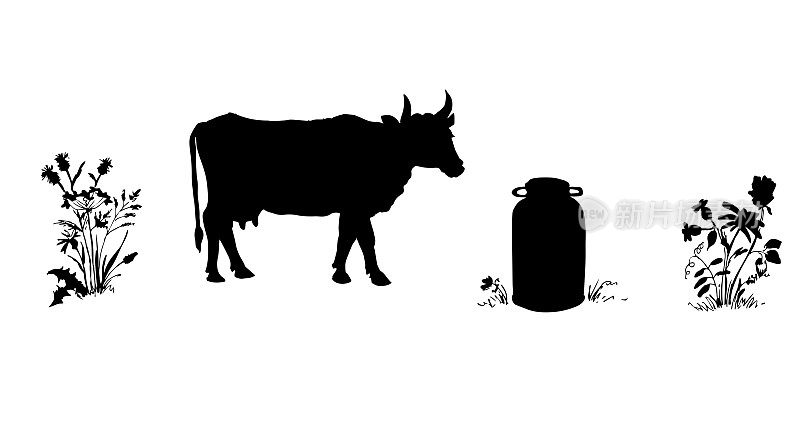 奶牛的黑色轮廓。矢量插图。生态环保生产，农业、畜牧业。
