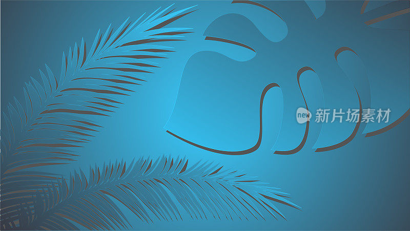 蓝色棕榈叶装饰。棕榈叶的背景。
