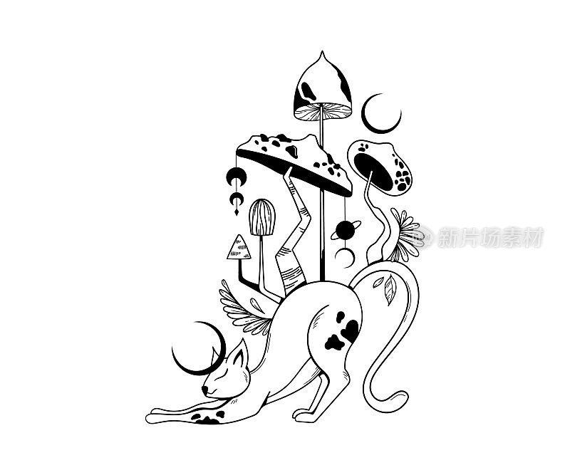 神秘的太空猫和蘑菇分离剪贴画，手绘神秘的组成与天体动物，月亮和魔法有毒真菌的白色背景，载体