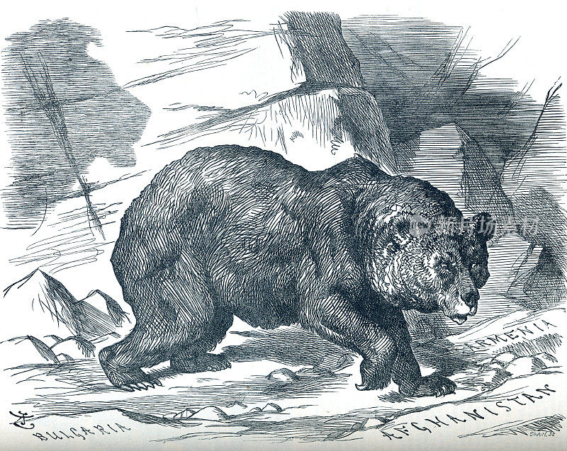 俄罗斯熊徘徊在阿富汗和亚美尼亚政治漫画19世纪
