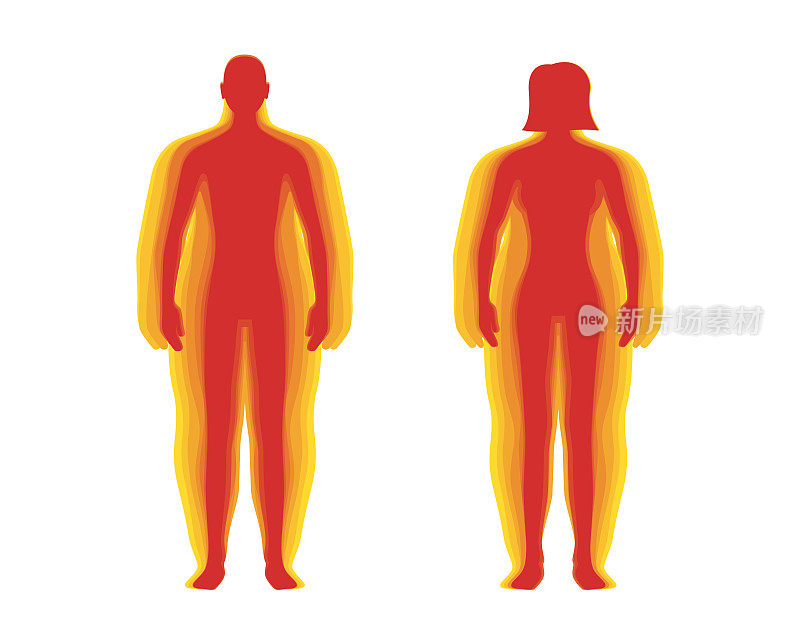 BMI分类测量信息图集概念。男女身体质量指数水平。组合人计算不同的体重，从体重过轻到超重。矢量图