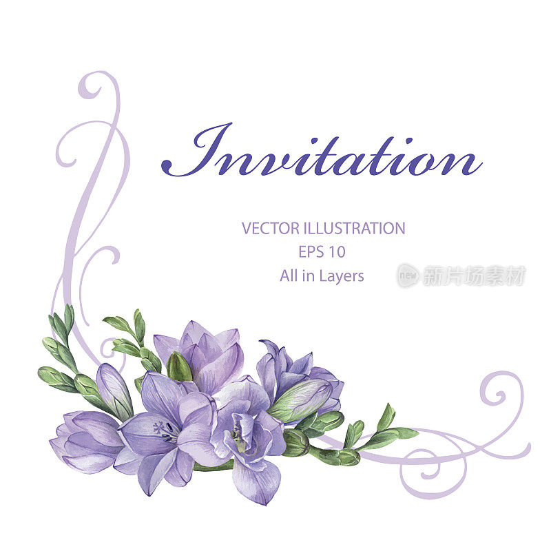 紫色小苍兰花的婚礼请柬框架。