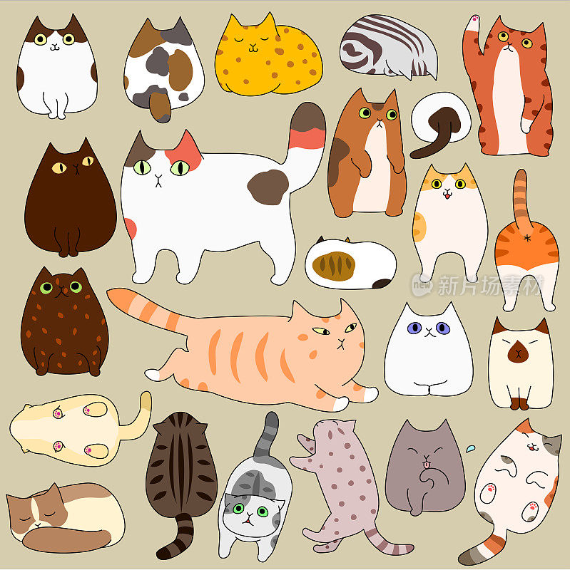 可爱的猫摆姿势的涂鸦集