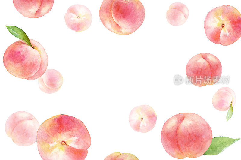 水蜜桃的背景。水彩插图。存在拷贝空间。