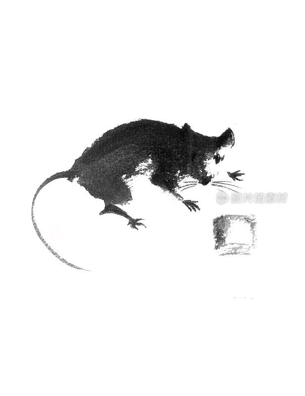 老鼠配芝士日式原创糜e水墨画。