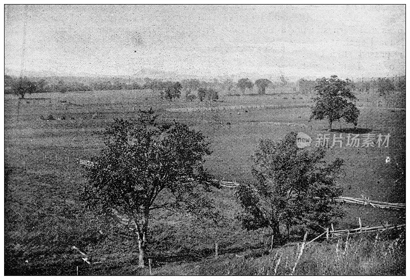 汉普顿县，马萨诸塞州的古董图像:草地