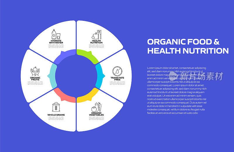 有机食品和健康营养相关过程信息图模板。流程时间表。工作流布局与线性图标
