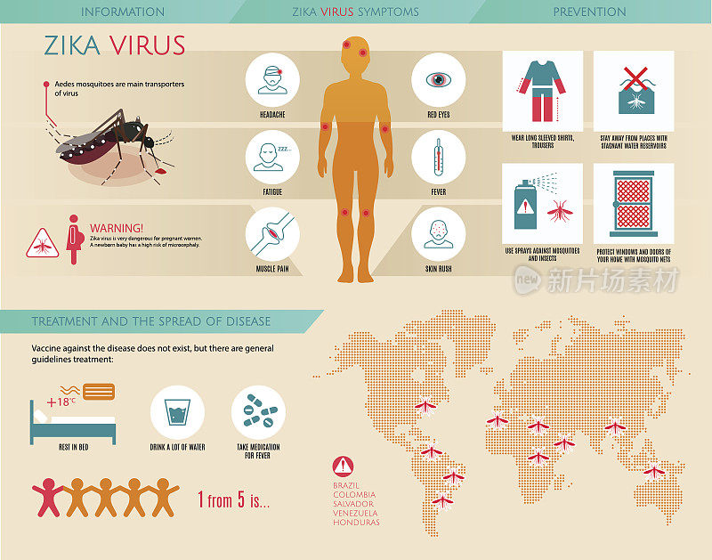 寨卡病毒信息图表:信息、预防、症状、