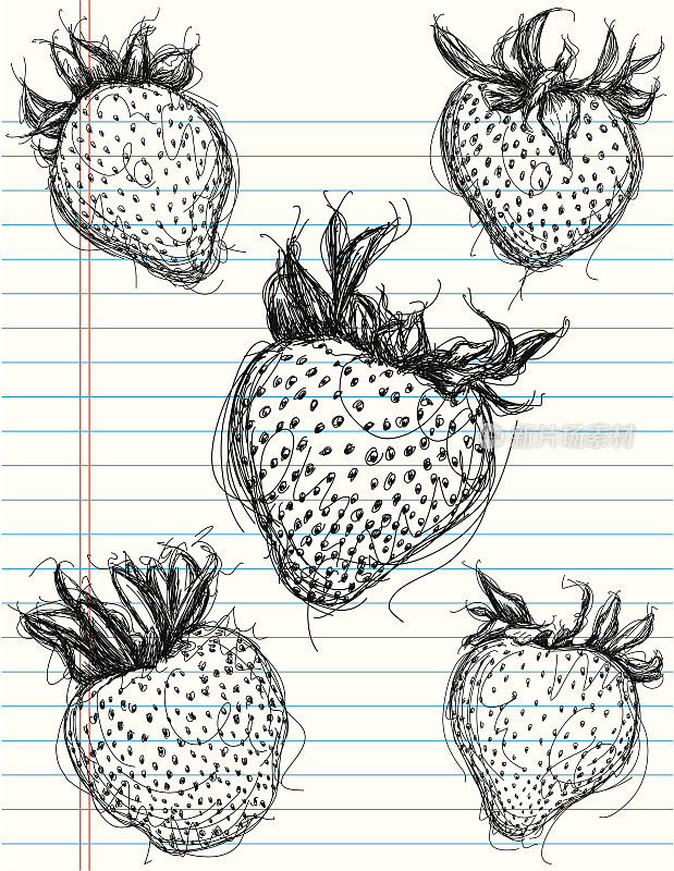 草莓草图