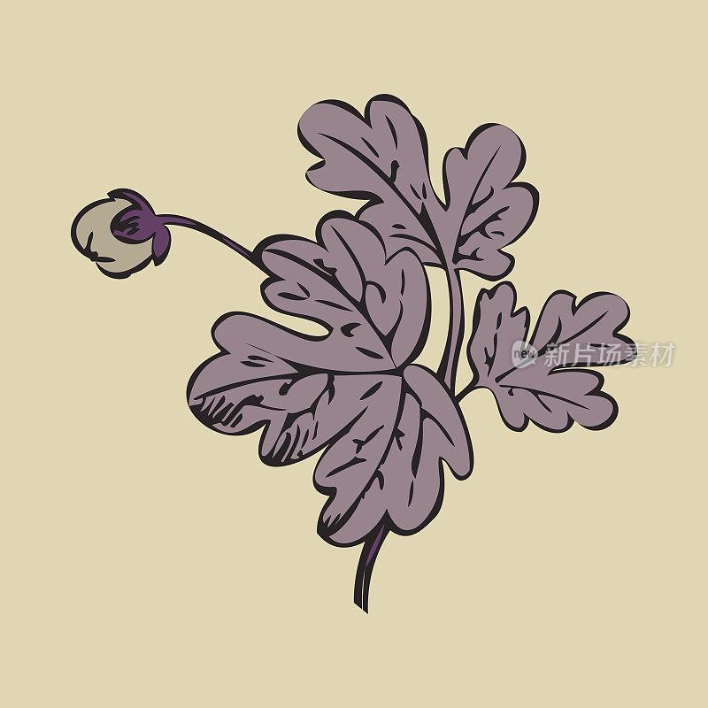 花灌木复古在白色的背景矢量，手绘装饰花复古轮廓，与芽印花设计的近距离分支