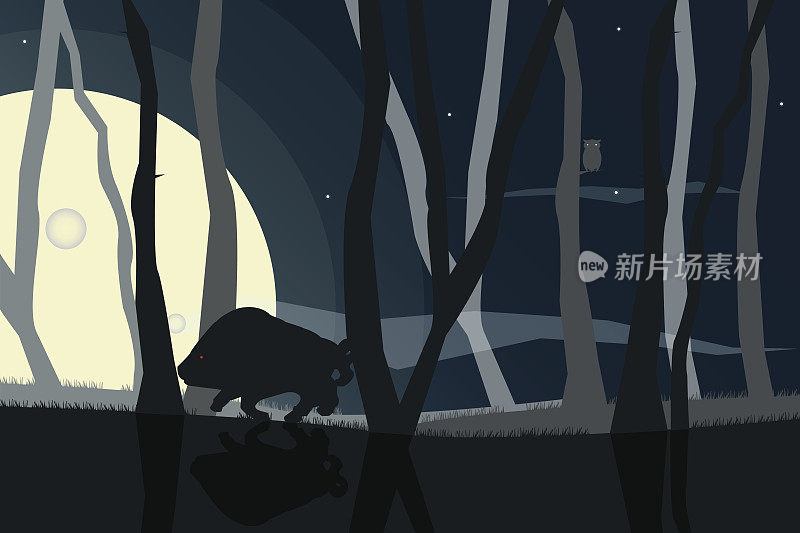 野生动物在夜景森林中剪影