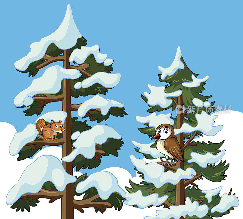 松鼠和猫头鹰在白雪覆盖的松树上
