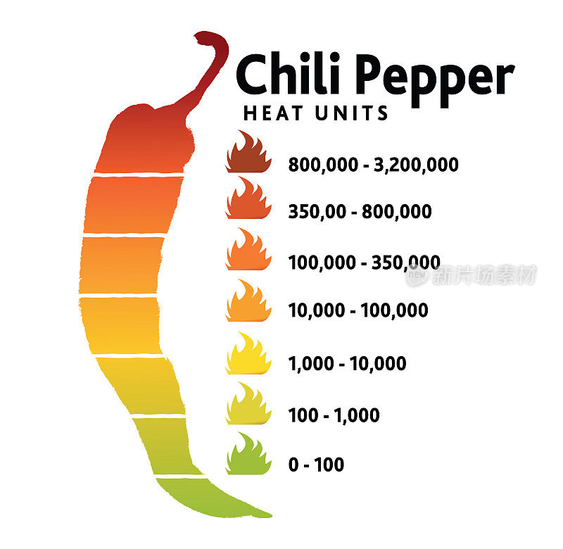 辣椒辣度单位刻度或辣椒测量信息图设计用辣椒模板