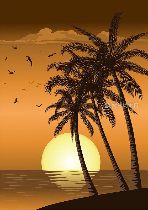 日落日出与海滩棕榈树的海洋岛