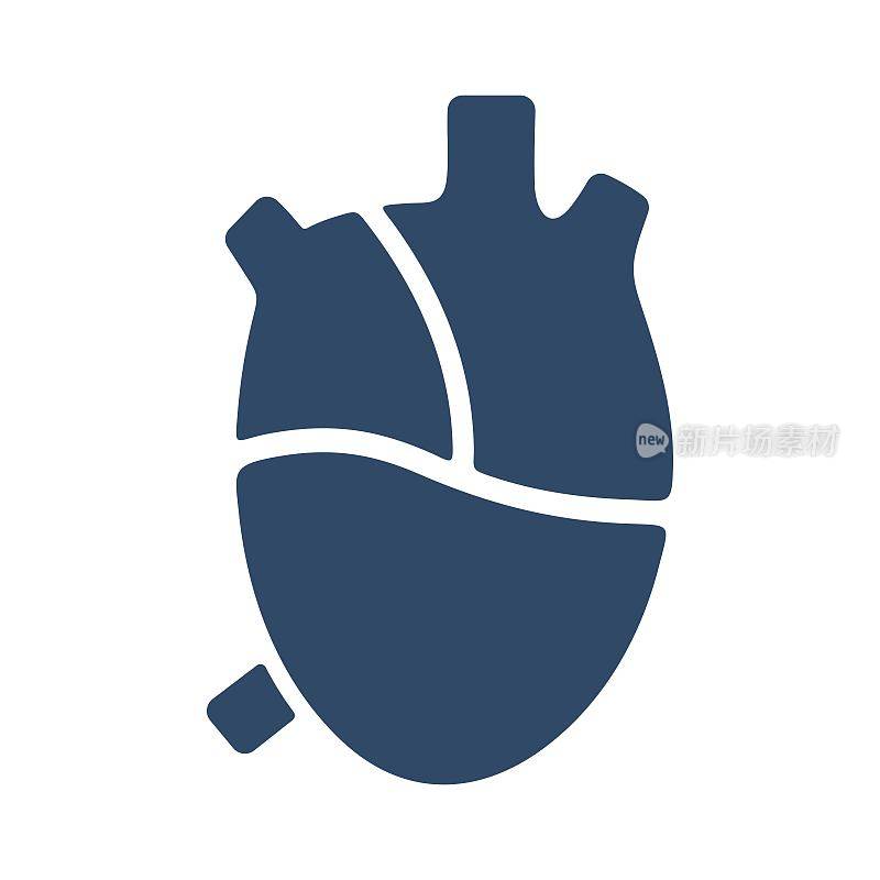 人体心脏解剖图标。平的图标设计。
