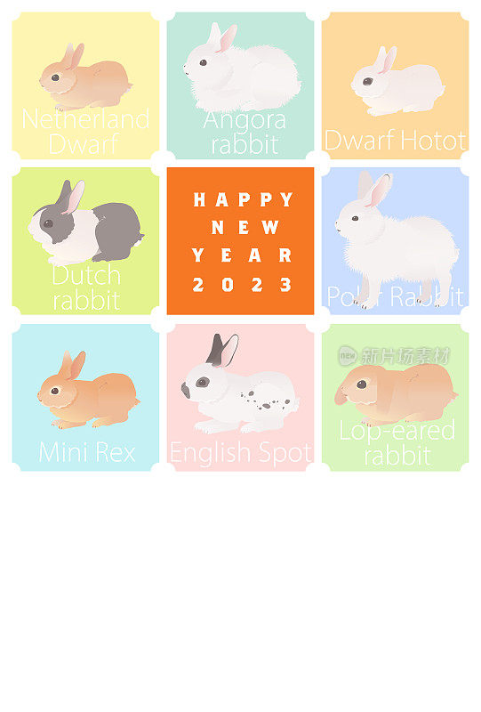 2023年是兔年。新年祝福。世界上的兔子。矢量插图。