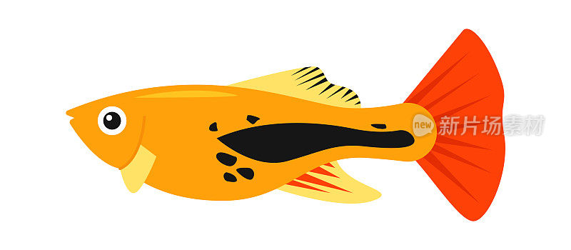 Glofish水族鱼。矢量图
