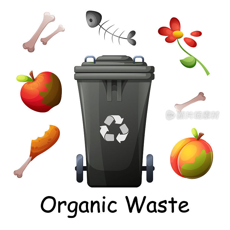 可回收废物，有机废物，垃圾，腐烂的水果，骨头，未食用的食物与垃圾箱。环境保护，可持续发展，绿色生活，生态生活载体