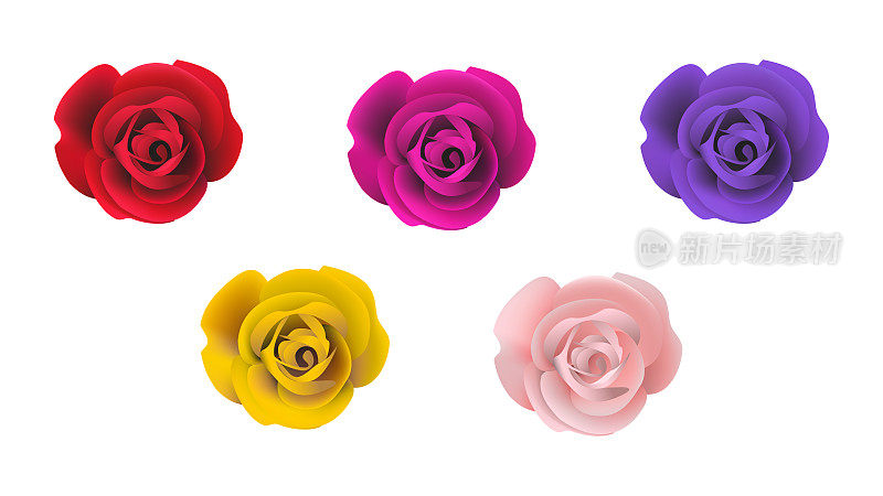 逼真的玫瑰在多种颜色，逼真的玫瑰矢量对象插图在白色背景。