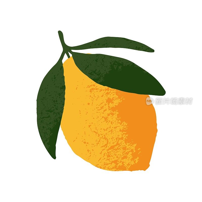 柠檬，整个带叶子的柑橘类水果。新鲜热带健康食品，黄皮带叶。异国风味的酸食。平面矢量插图孤立在白色背景上