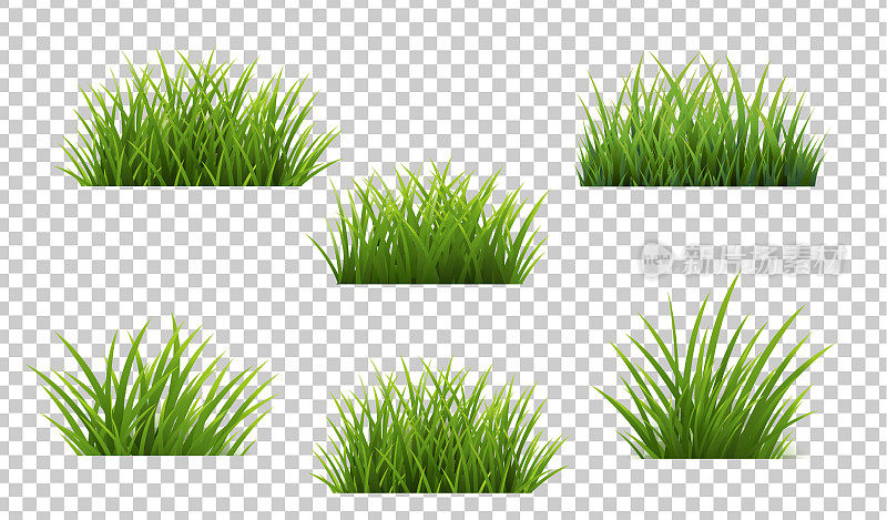 绿色的草与透明的背景