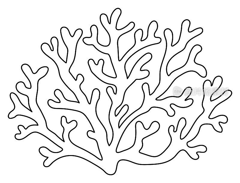 矢量黑色和白色珊瑚图标。下面的海线插图与可爱的海藻。海洋植物剪贴画。卡通水下或海洋剪贴艺术或儿童着色页