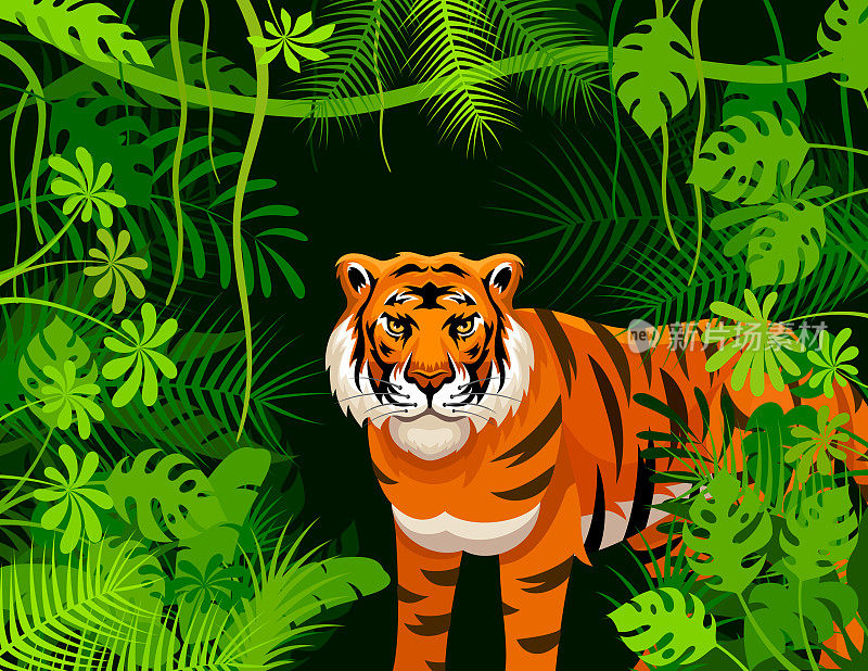 老虎在丛林的灌木丛中咆哮。