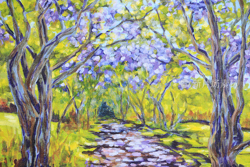 乡间小路上有开花的蓝花楹树