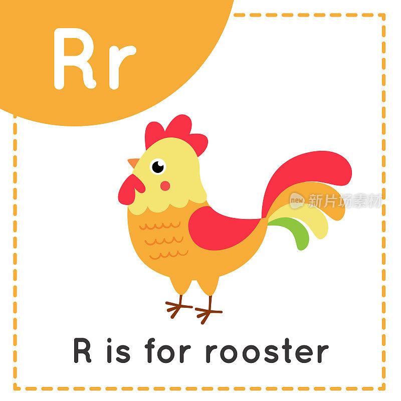 儿童英语字母学习。字母r可爱的卡通公鸡。