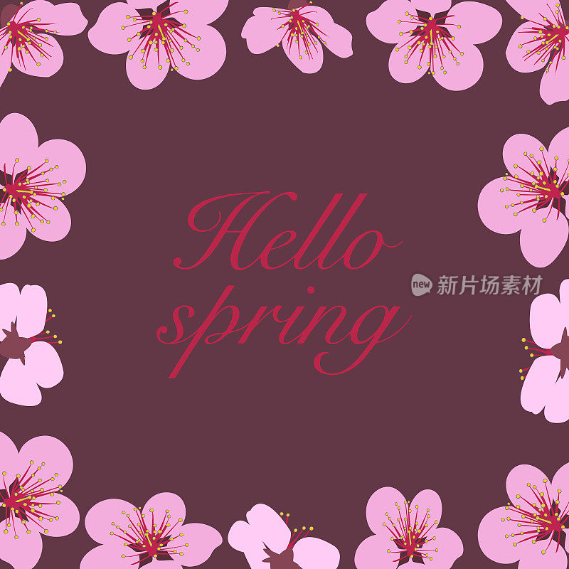背景是盛开的粉色花朵，上面写着“你好，春天。”矢量插图。