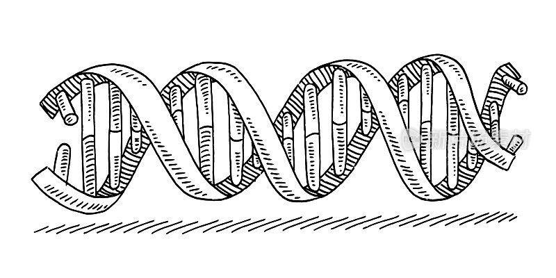 DNA螺旋科学符号绘图