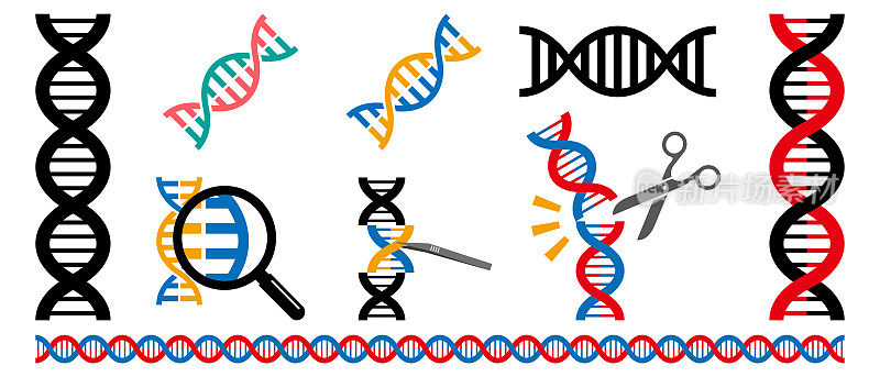 简单DNA的矢量插图集