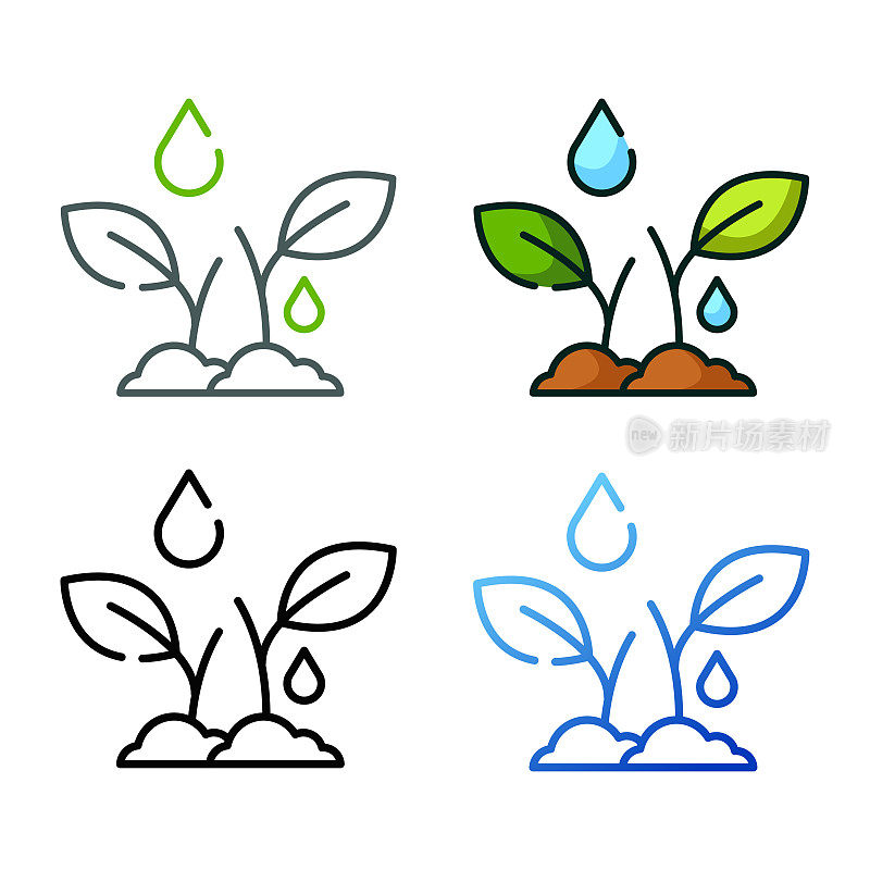 树叶和水的图标设计在四个变化的颜色