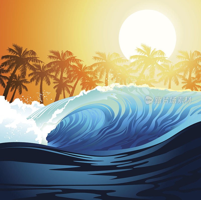 热带冲浪浪日出与棕榈树