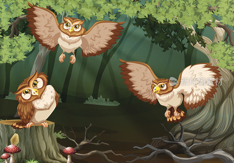 三只猫头鹰在森林里飞翔
