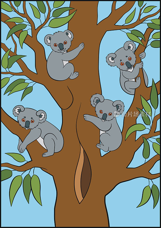 卡通动物。四个可爱的小考拉宝宝坐在树上微笑。