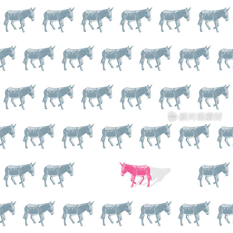 驴子-无缝模式背景。