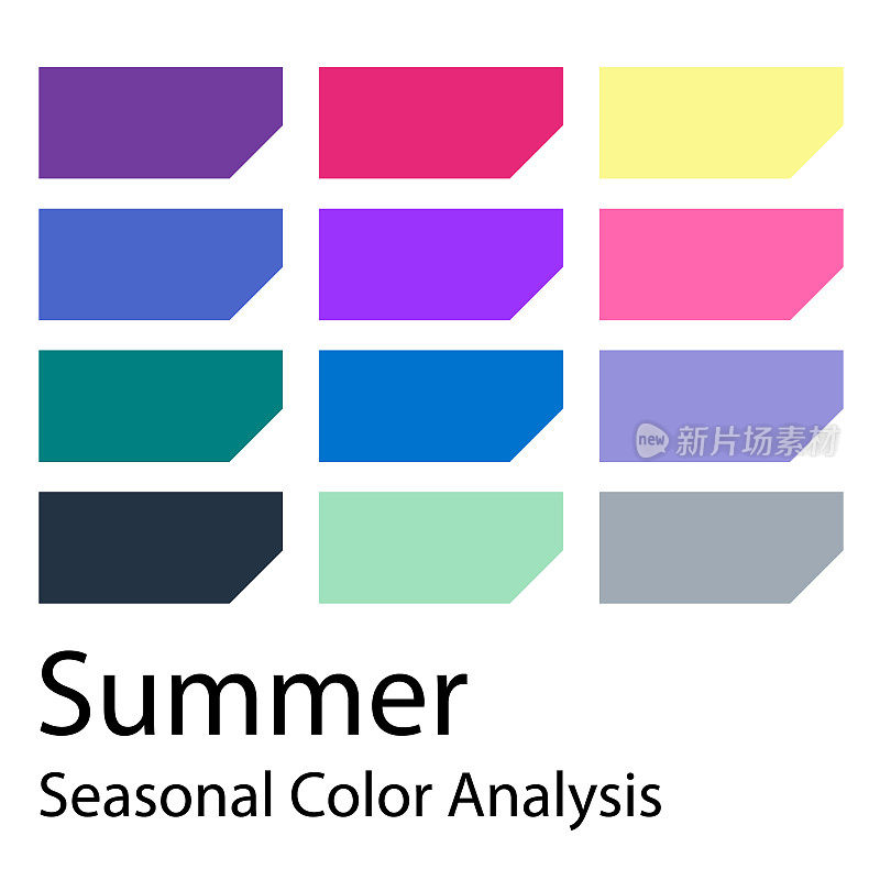 股票矢量颜色指南。季节性色彩分析调色板夏季类型