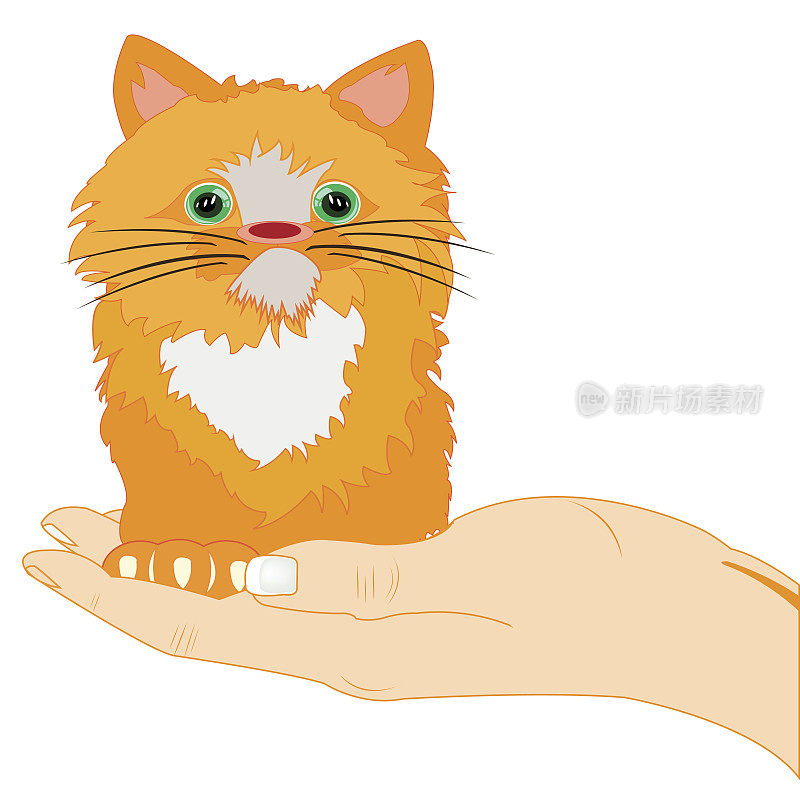 手掌上的红发小猫